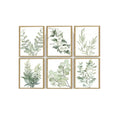 Eucalyptus Sage Green Botanical Framed Wall Art